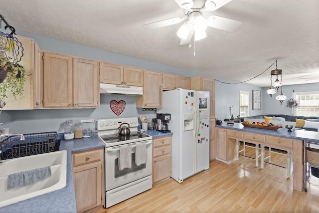 117 Autumn Dr, Russell Springs, KY 42642 - kitchen with white appliances, light brown cabinets, under cabinet range hood, a sink, and a textured ceiling