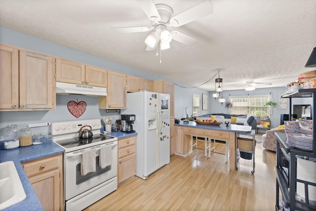 117 Autumn Dr, Russell Springs, KY 42642 - kitchen featuring white appliances, light brown cabinetry, a ceiling fan, under cabinet range hood, and light wood-type flooring