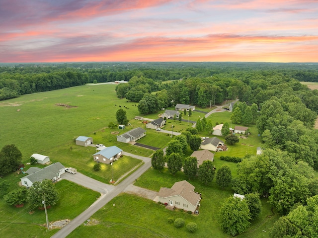 117 Autumn Dr, Russell Springs, KY 42642 - view of aerial view at dusk