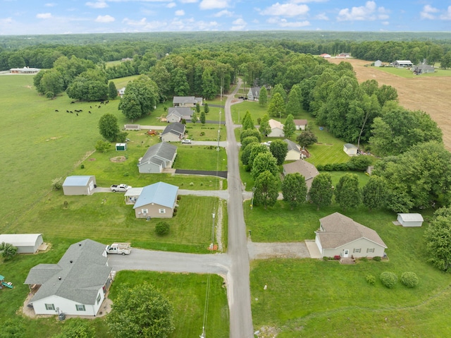 117 Autumn Dr, Russell Springs, KY 42642 - aerial overview of property's location