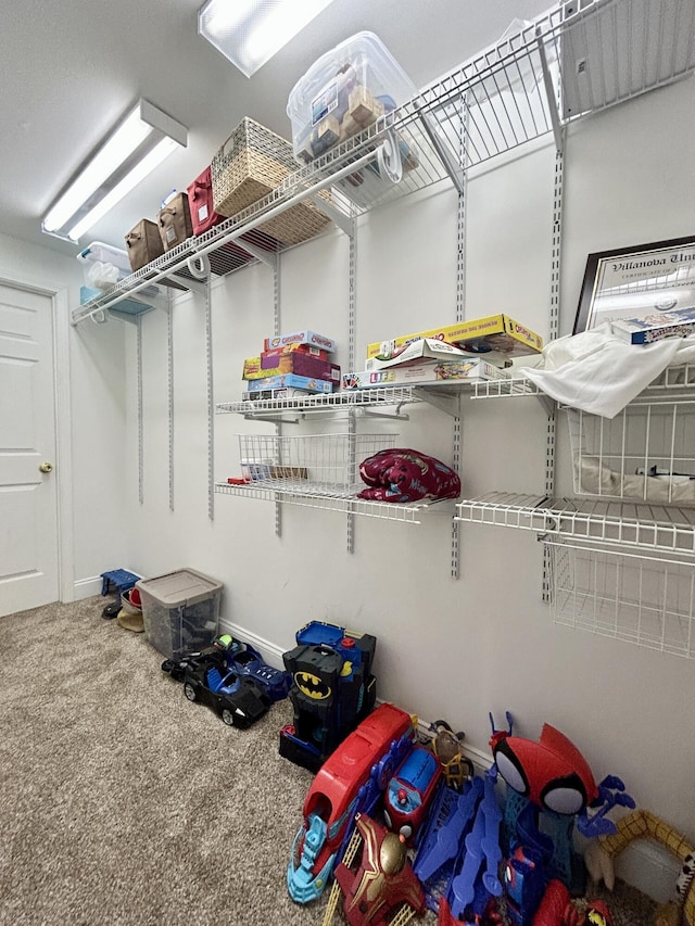 317 Hidden Loop Dr, Somerset, KY 42503 - view of storage room
