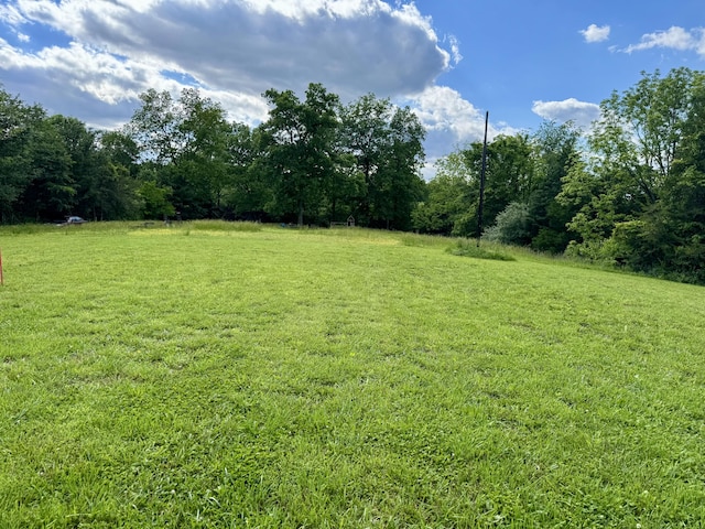 42 Cambron Ln, Raywick, KY 40060 - view of grassy yard