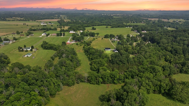 42 Cambron Ln, Raywick, KY 40060 - aerial view at dusk of a view of rural / pastoral area