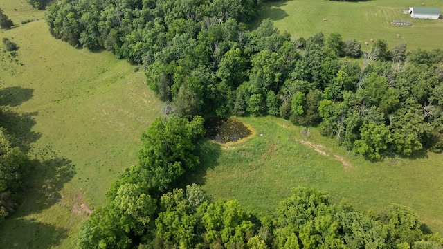 42 Cambron Ln, Raywick, KY 40060 - drone / aerial view