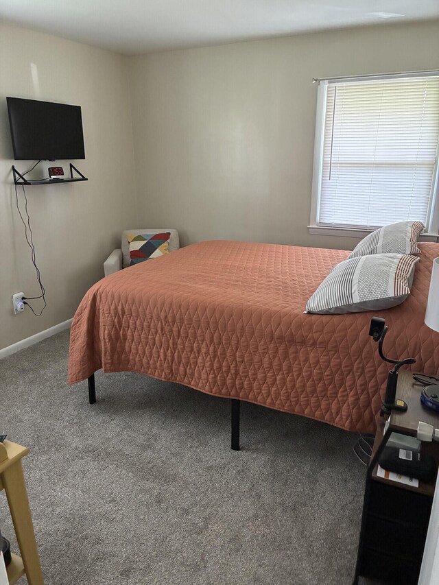 212 Baughman Ave, Danville, KY 40422 - bedroom with carpet