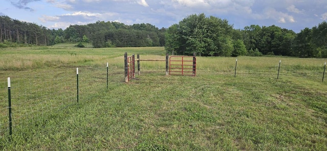 135 Watkins Branch Rd, East Bernstadt, KY 40729 - view of yard with a view of countryside, a view of trees, and a gate