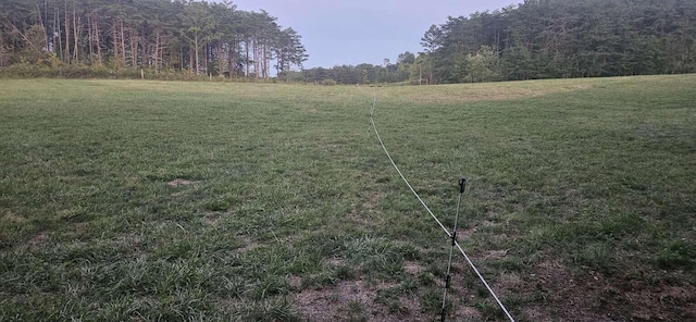 135 Watkins Branch Rd, East Bernstadt, KY 40729 - view of green lawn featuring a view of trees