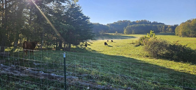 135 Watkins Branch Rd, East Bernstadt, KY 40729 - view of green lawn
