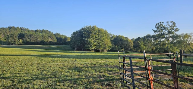 135 Watkins Branch Rd, East Bernstadt, KY 40729 - view of yard