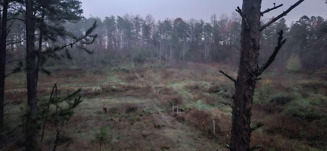 135 Watkins Branch Rd, East Bernstadt, KY 40729 - view of tree filled area
