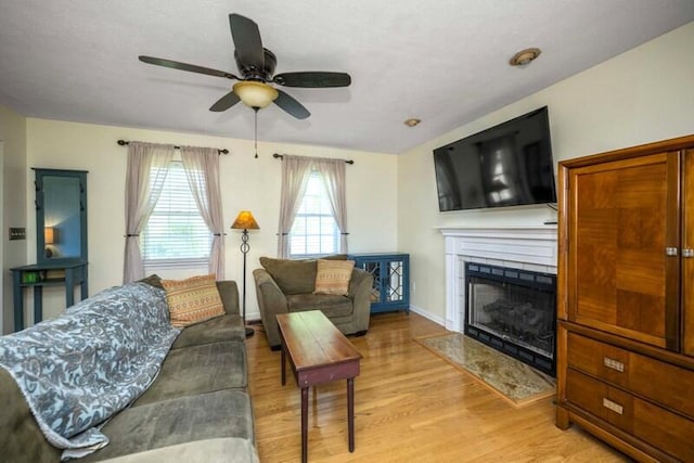 113 Medinah Ct, Frankfort, KY 40601 - living area with light wood finished floors, ceiling fan, a fireplace with flush hearth, and baseboards