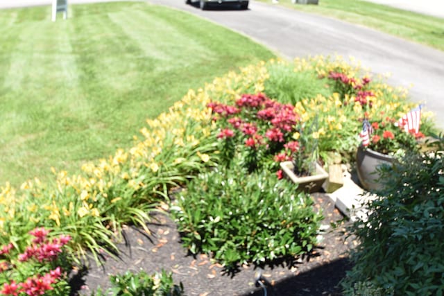360 Persimmon Way, Harrodsburg, KY 40330 - view of yard