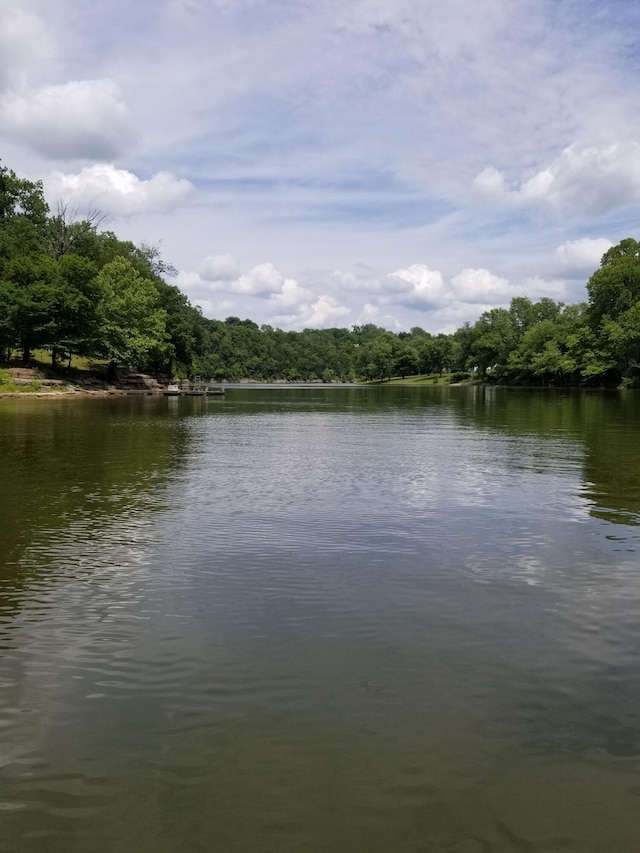 360 Persimmon Way, Harrodsburg, KY 40330 - water view featuring a heavily wooded area