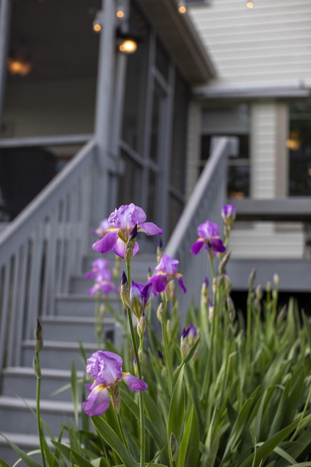360 Persimmon Way, Harrodsburg, KY 40330 - exterior view of stairway