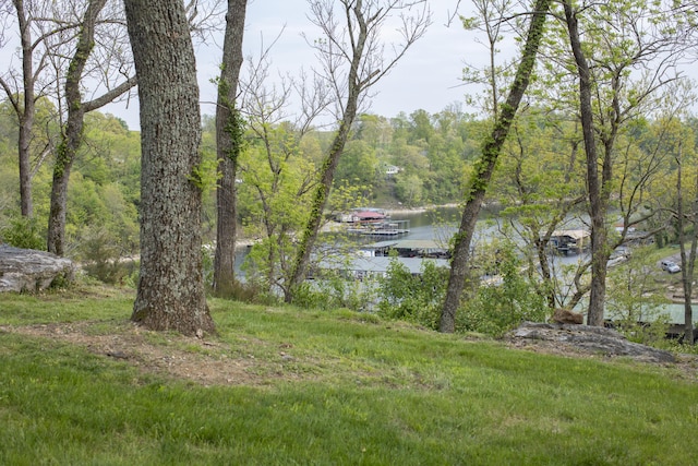 360 Persimmon Way, Harrodsburg, KY 40330 - view of yard with a water view and a forest view