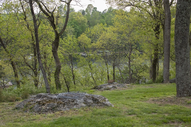 360 Persimmon Way, Harrodsburg, KY 40330 - view of yard featuring a wooded view