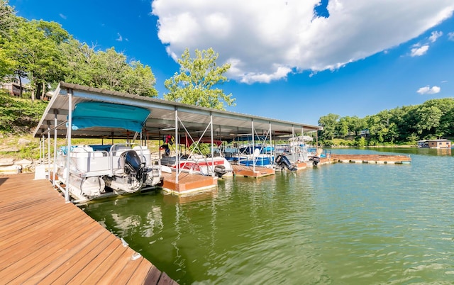 360 Persimmon Way, Harrodsburg, KY 40330 - dock featuring a water view