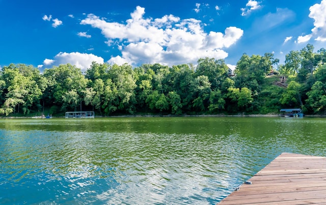 360 Persimmon Way, Harrodsburg, KY 40330 - dock featuring a water view