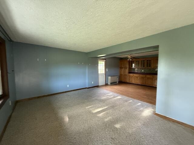 315 Della Winchester Rd, Nancy, KY 42544 - unfurnished living room featuring carpet floors, baseboards, and a textured ceiling