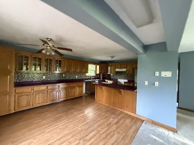 315 Della Winchester Rd, Nancy, KY 42544 - kitchen featuring dark countertops, under cabinet range hood, decorative backsplash, and glass insert cabinets