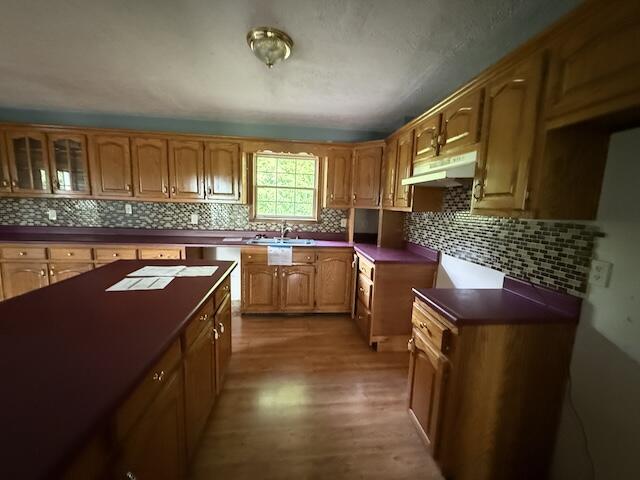 315 Della Winchester Rd, Nancy, KY 42544 - kitchen with a sink, under cabinet range hood, dark countertops, and backsplash