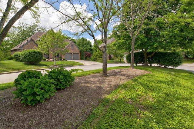 1304 Wakehurst Ct, Lexington, KY 40509 - view of property hidden behind natural elements featuring a garage, driveway, a front yard, and brick siding