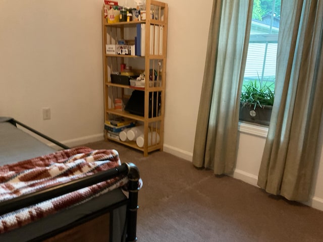 33 Banta Rd, Olive Hill, KY 41164 - bedroom with carpet floors and baseboards