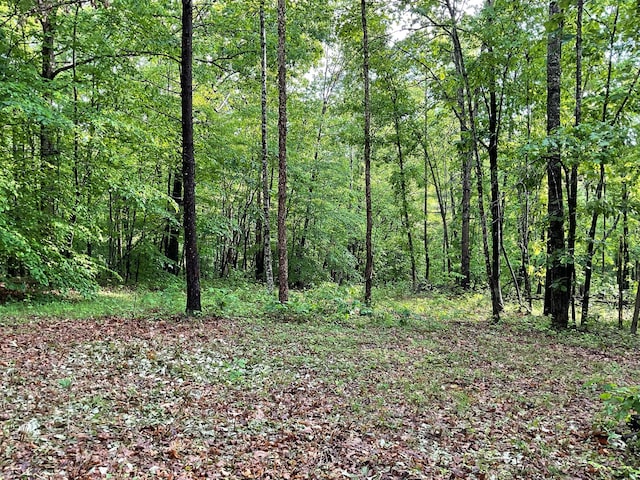 33 Banta Rd, Olive Hill, KY 41164 - view of wooded area