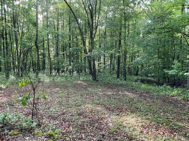 33 Banta Rd, Olive Hill, KY 41164 - view of wooded area