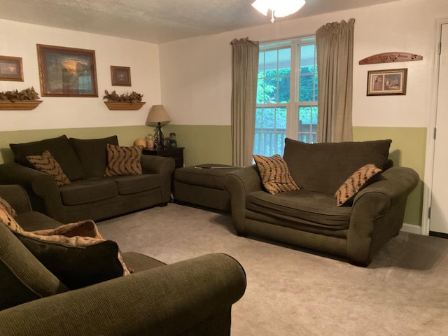 33 Banta Rd, Olive Hill, KY 41164 - living area with carpet