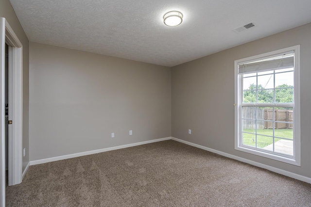 164 Strawberry Fields Rd, Lexington, KY 40516 - empty room featuring carpet floors, baseboards, and a textured ceiling