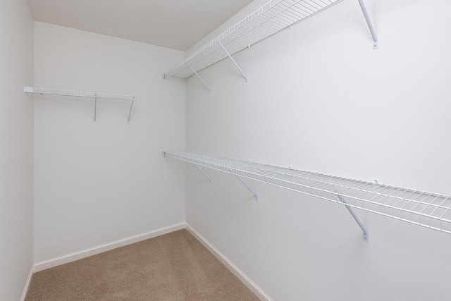 164 Strawberry Fields Rd, Lexington, KY 40516 - walk in closet with carpet floors