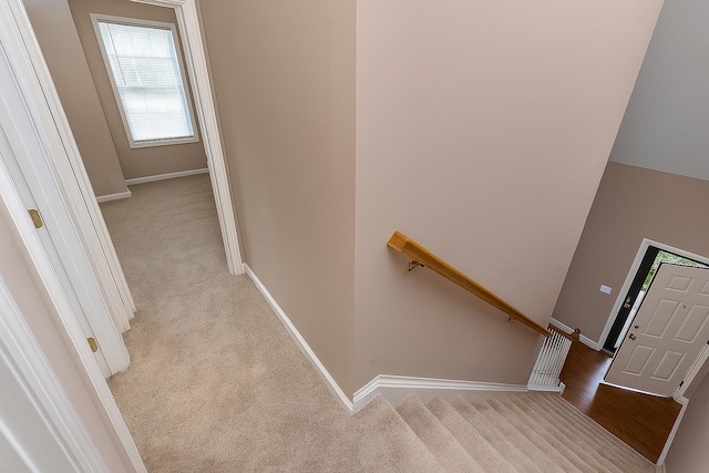 164 Strawberry Fields Rd, Lexington, KY 40516 - staircase with carpet floors and baseboards