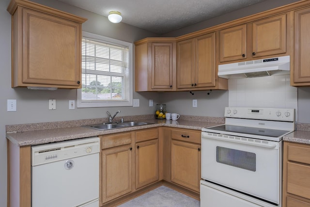 164 Strawberry Fields Rd, Lexington, KY 40516 - kitchen with white appliances, under cabinet range hood, a sink, and decorative backsplash