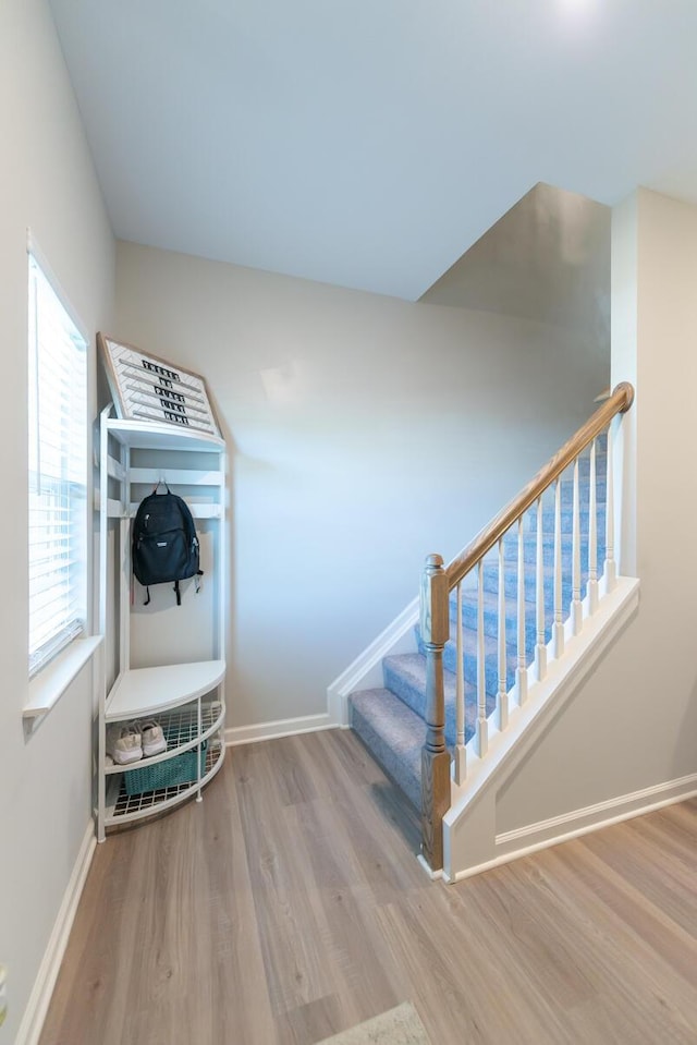 133 Kirkstall Way, Georgetown, KY 40324 - stairway featuring wood finished floors and baseboards