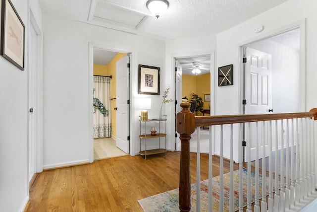 481 Alderbrook Way, Lexington, KY 40515 - corridor featuring light wood-style flooring, attic access, and baseboards