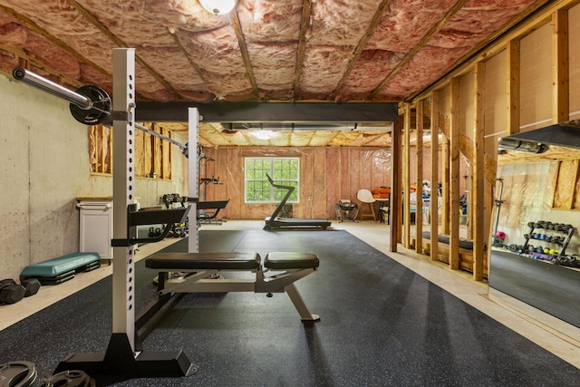 481 Alderbrook Way, Lexington, KY 40515 - view of workout room