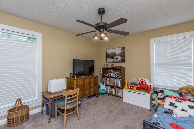 53 Douglas Ave, Stanford, KY 40484 - recreation room with carpet, ceiling fan, and a textured ceiling
