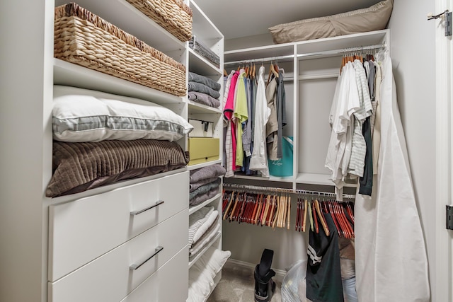 2605 Lucca Pl, Lexington, KY 40509 - spacious closet featuring carpet floors