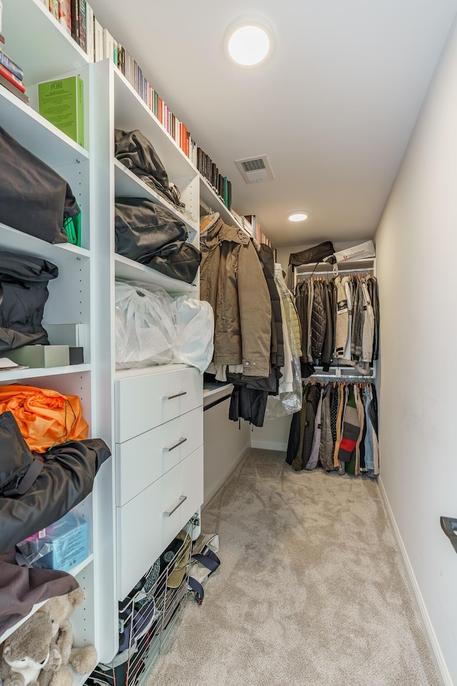 2605 Lucca Pl, Lexington, KY 40509 - walk in closet with carpet floors
