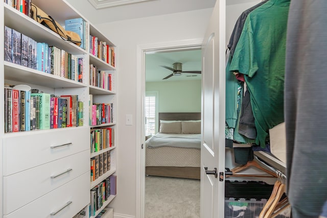 2605 Lucca Pl, Lexington, KY 40509 - walk in closet with carpet flooring and a ceiling fan