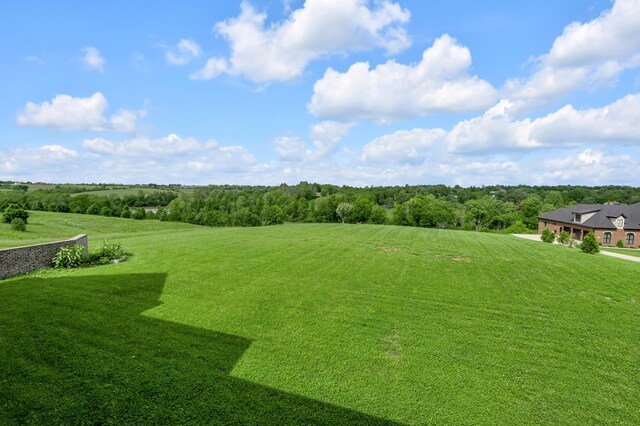 1408 Champion Way, Richmond, KY 40475 - view of grassy yard