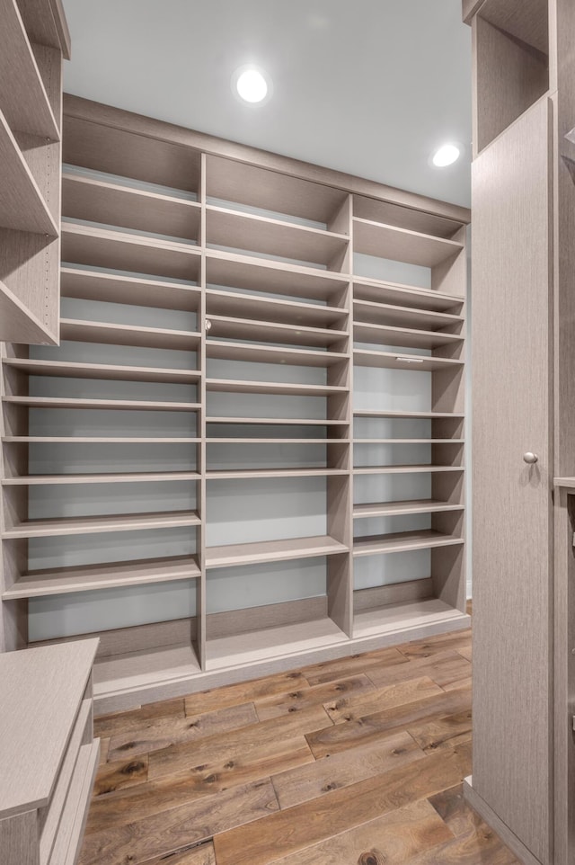 2131 Patchen Lake Ln, Lexington, KY 40505 - spacious closet with hardwood / wood-style flooring