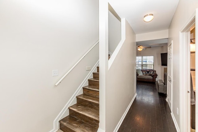 186 Santa Barbara Blvd, Georgetown, KY 40324 - stairs with hardwood / wood-style flooring, ceiling fan, and baseboards