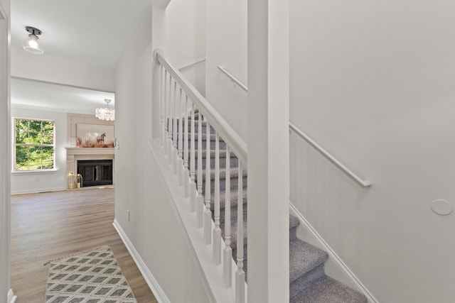 3261 Royal Troon Rd, Lexington, KY 40509 - stairs featuring wood finished floors, baseboards, and a fireplace