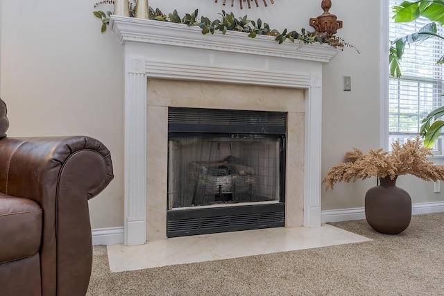 3789 Ridge View Way, Lexington, KY 40509 - detailed view of a high end fireplace, baseboards, and carpet floors