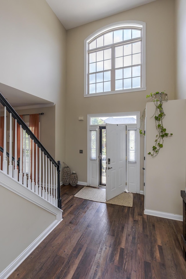 3789 Ridge View Way, Lexington, KY 40509 - entrance foyer with a high ceiling, wood finished floors, and baseboards