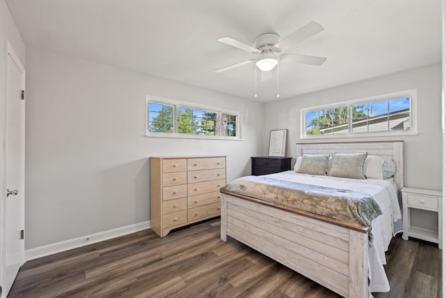 680 Beaumont Ave, Harrodsburg, KY 40330 - bedroom featuring multiple windows, dark wood-style flooring, baseboards, and ceiling fan