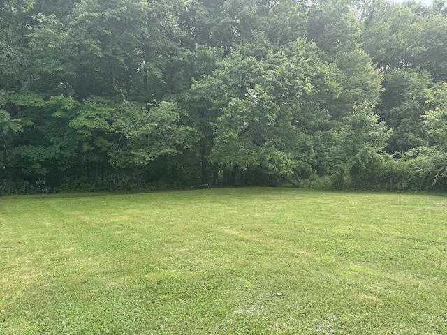 177 Briarpatch Rd, Russell Springs, KY 42642