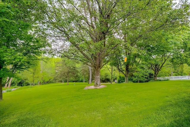 428 Shady Brook Dr, Richmond, KY 40475 - view of yard